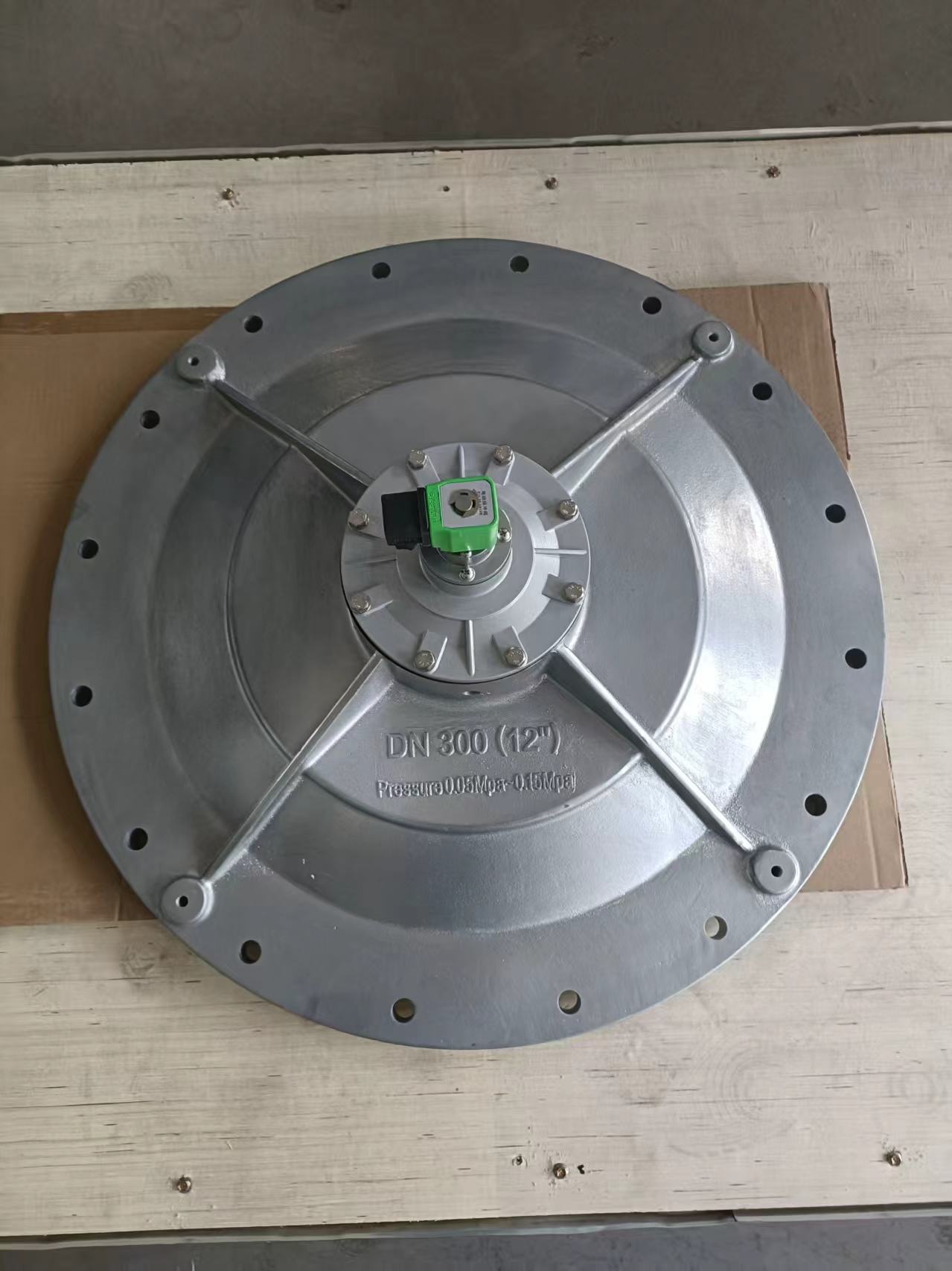 Bagong Pagdating: 8–16'' DMF Large-Diameter Submerged Pulse Valve