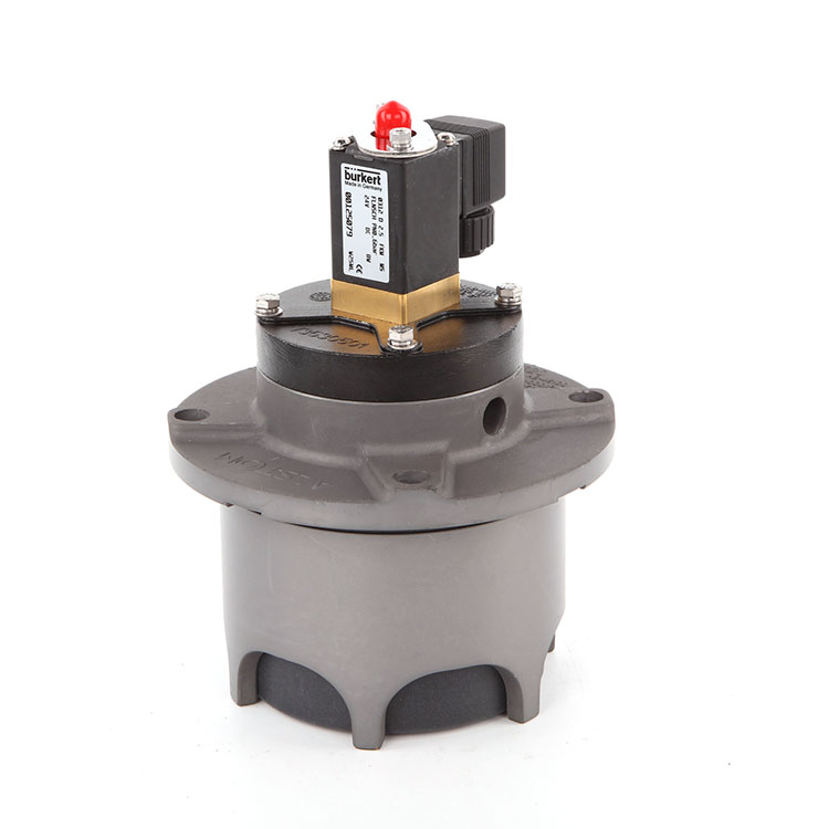 Paglilinis ng Air Solenoid Valve