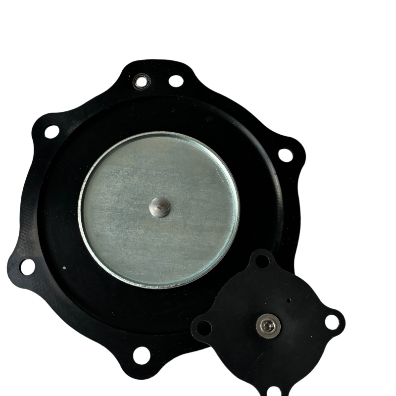 C113684 diaphragm kit